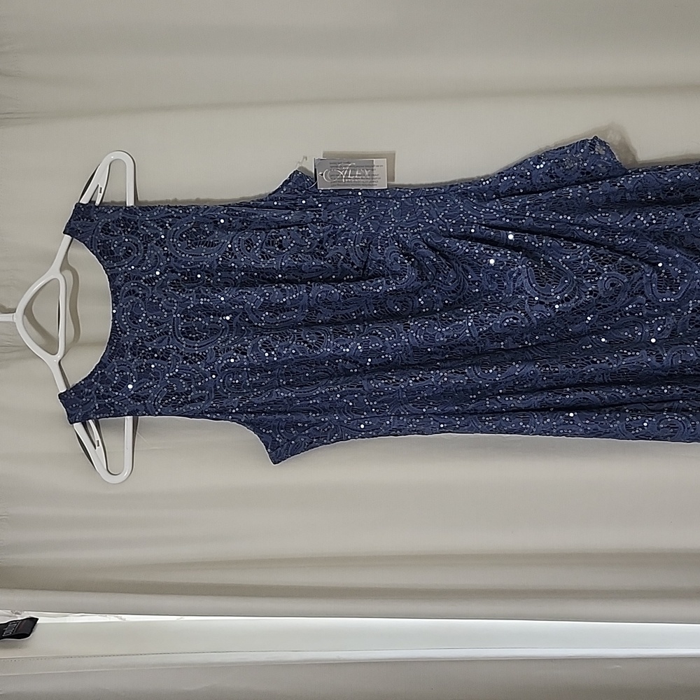 Alex evenings dress